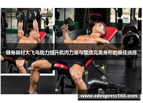 健身器材大飞鸟助力提升肌肉力量与塑造完美身形的最佳选择