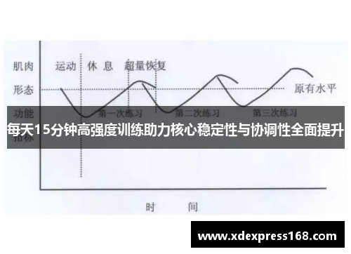 每天15分钟高强度训练助力核心稳定性与协调性全面提升